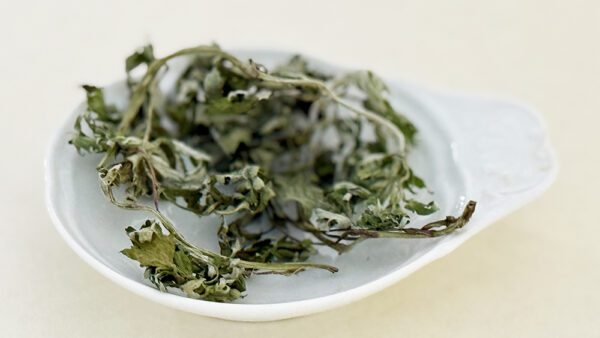 よもぎの意外な活用アイディア